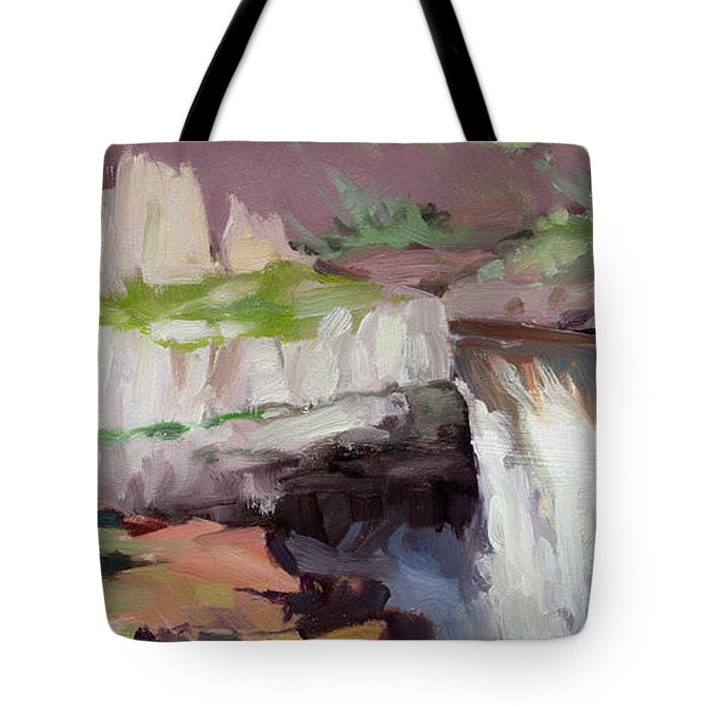 Waterfall Tote Bag featuring the painting Beholding Palouse Falls by Steve Henderson