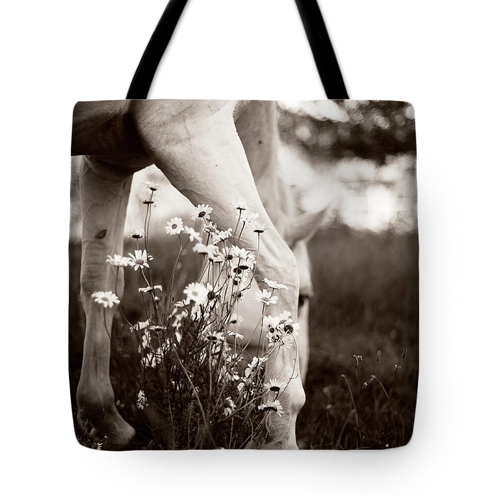 Lipizzan Tote Bag featuring the photograph Bella and Daisies by Carien Schippers