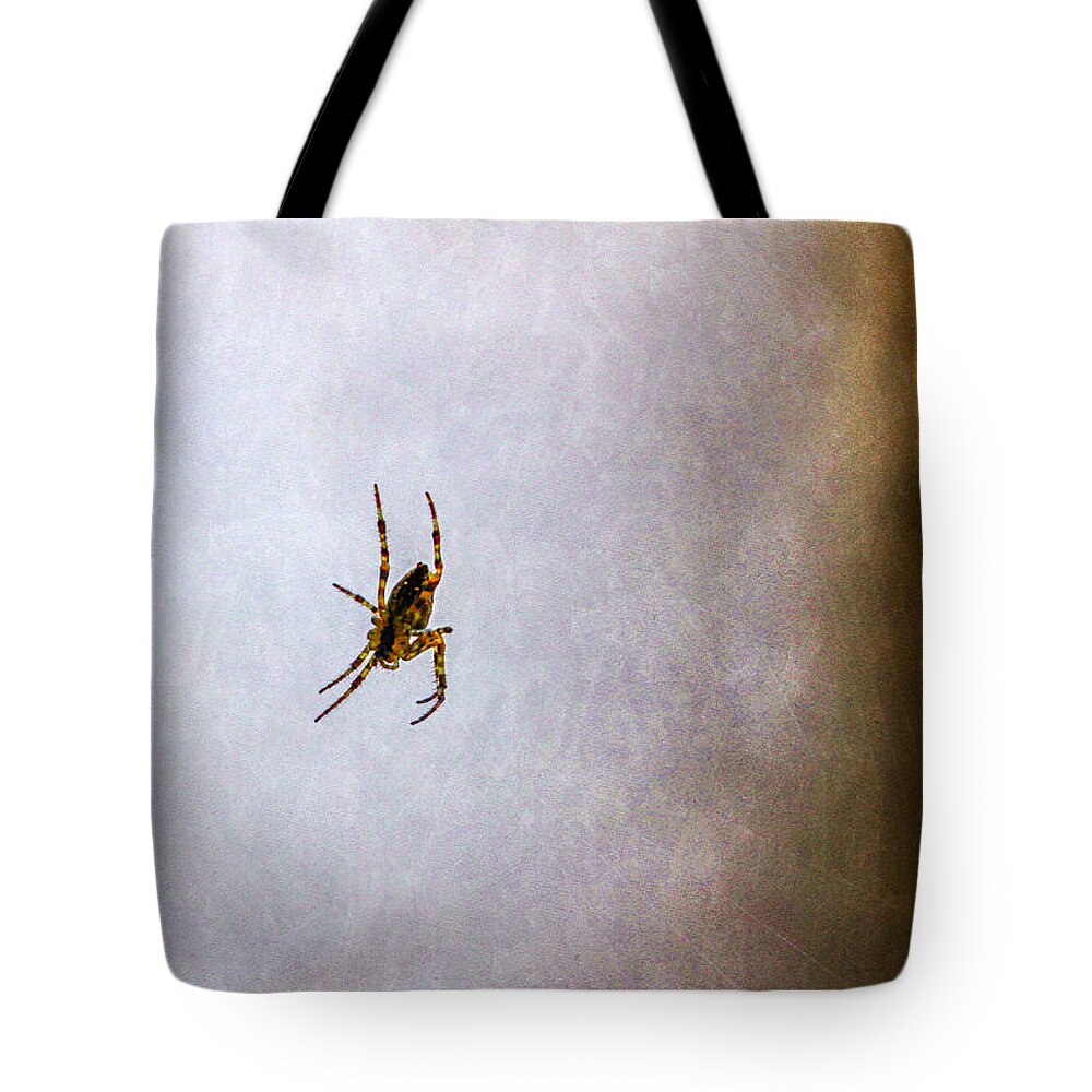 Bonnie Follett Tote Bag featuring the photograph Belly of the spider by Bonnie Follett