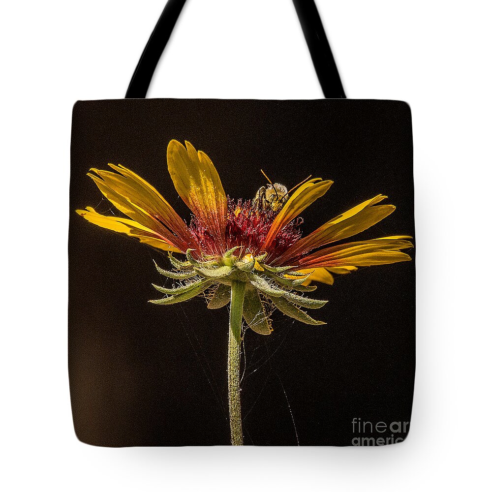 Macro Tote Bag featuring the photograph Below the Bee's Knees by Janis Knight