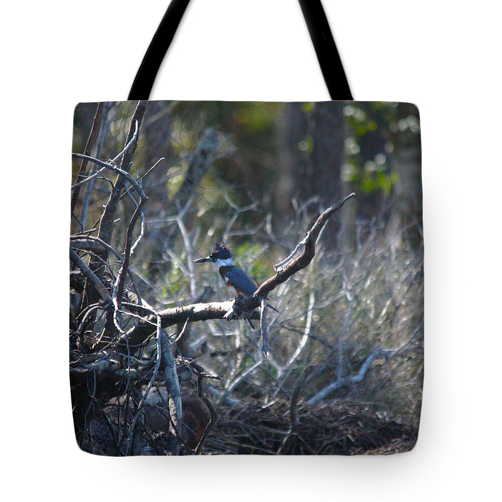 Birds Tote Bag featuring the photograph Belted Kingfisher by Captain Debbie Ritter