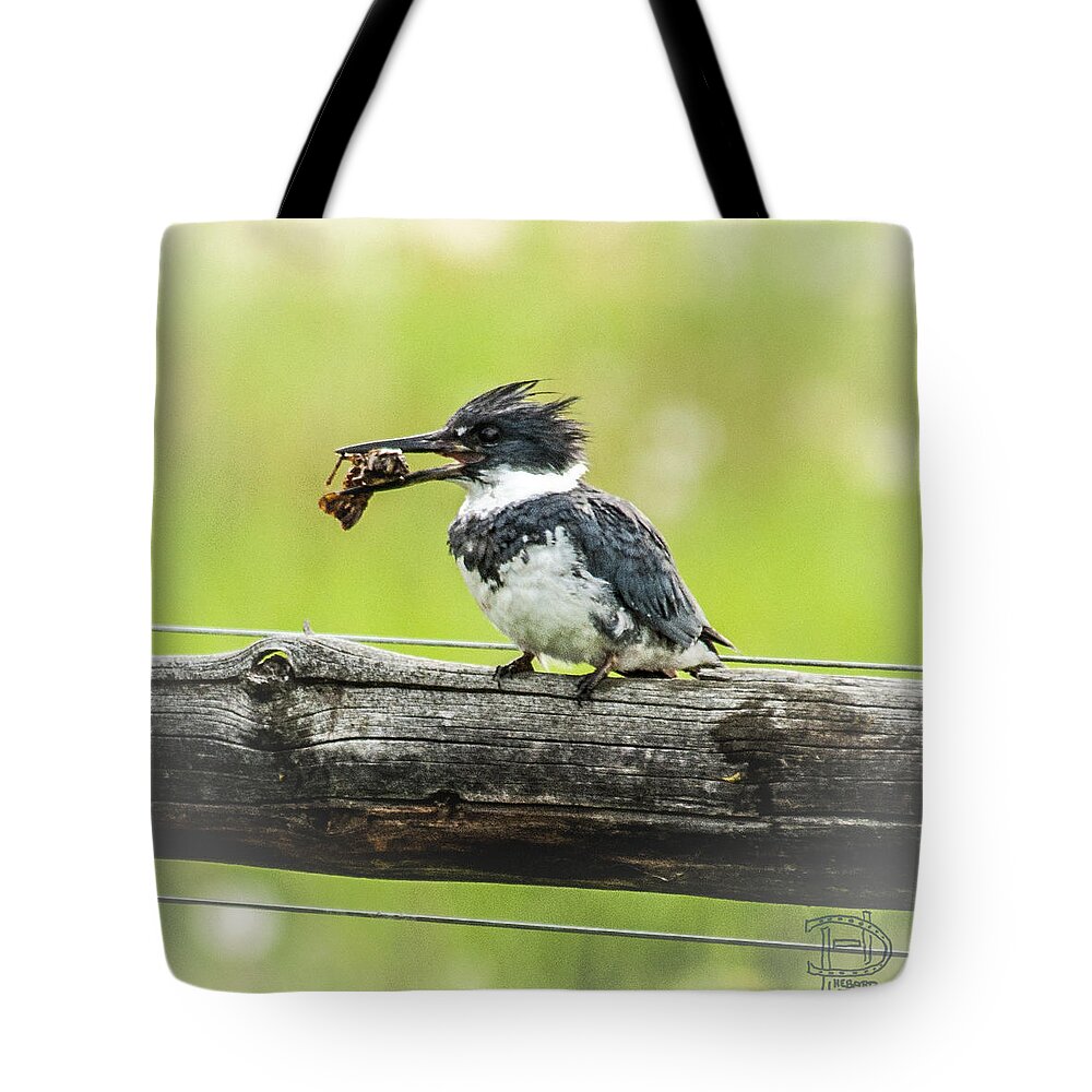  Tote Bag featuring the photograph Belted Kingfisher. by Daniel Hebard