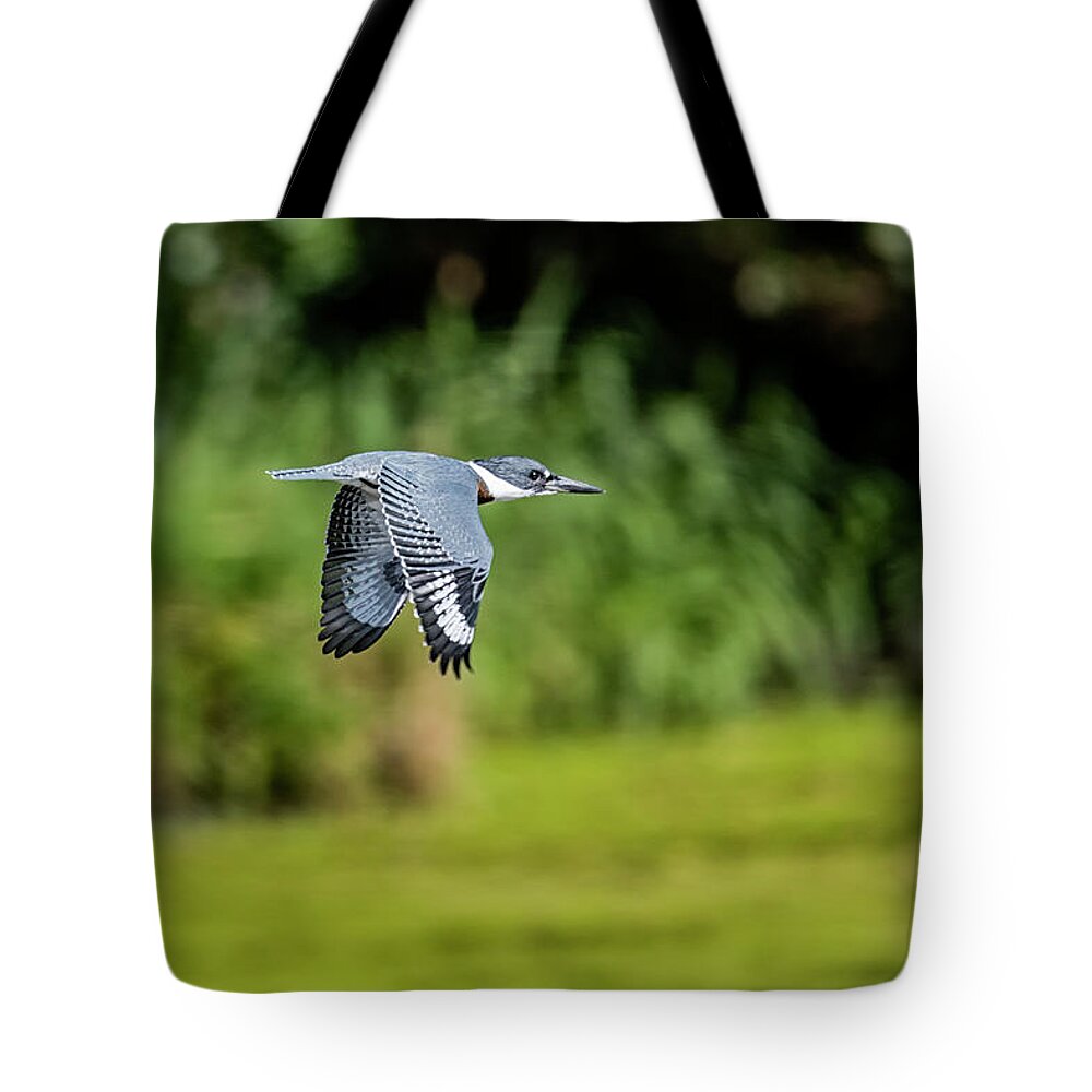 Belted Kingfisher Tote Bag featuring the photograph Belted Kingfisher by Todd Ryburn