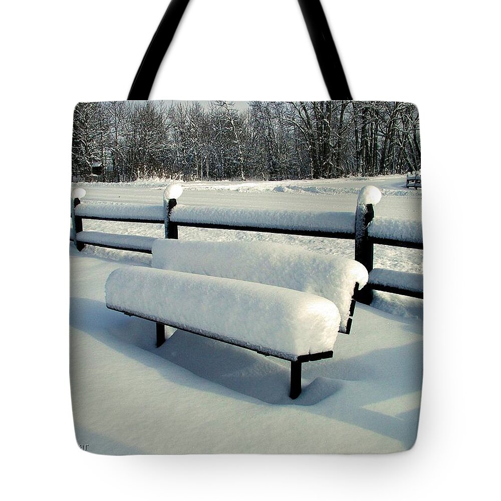 Winter Tote Bag featuring the photograph Benched by Tracey Vivar