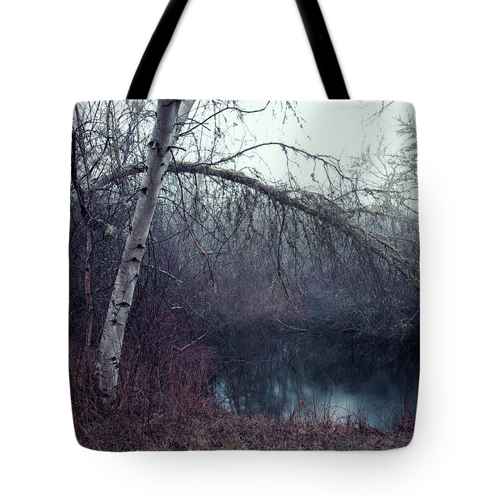 Andrew Pacheco Tote Bag featuring the photograph Bending Birch by Andrew Pacheco