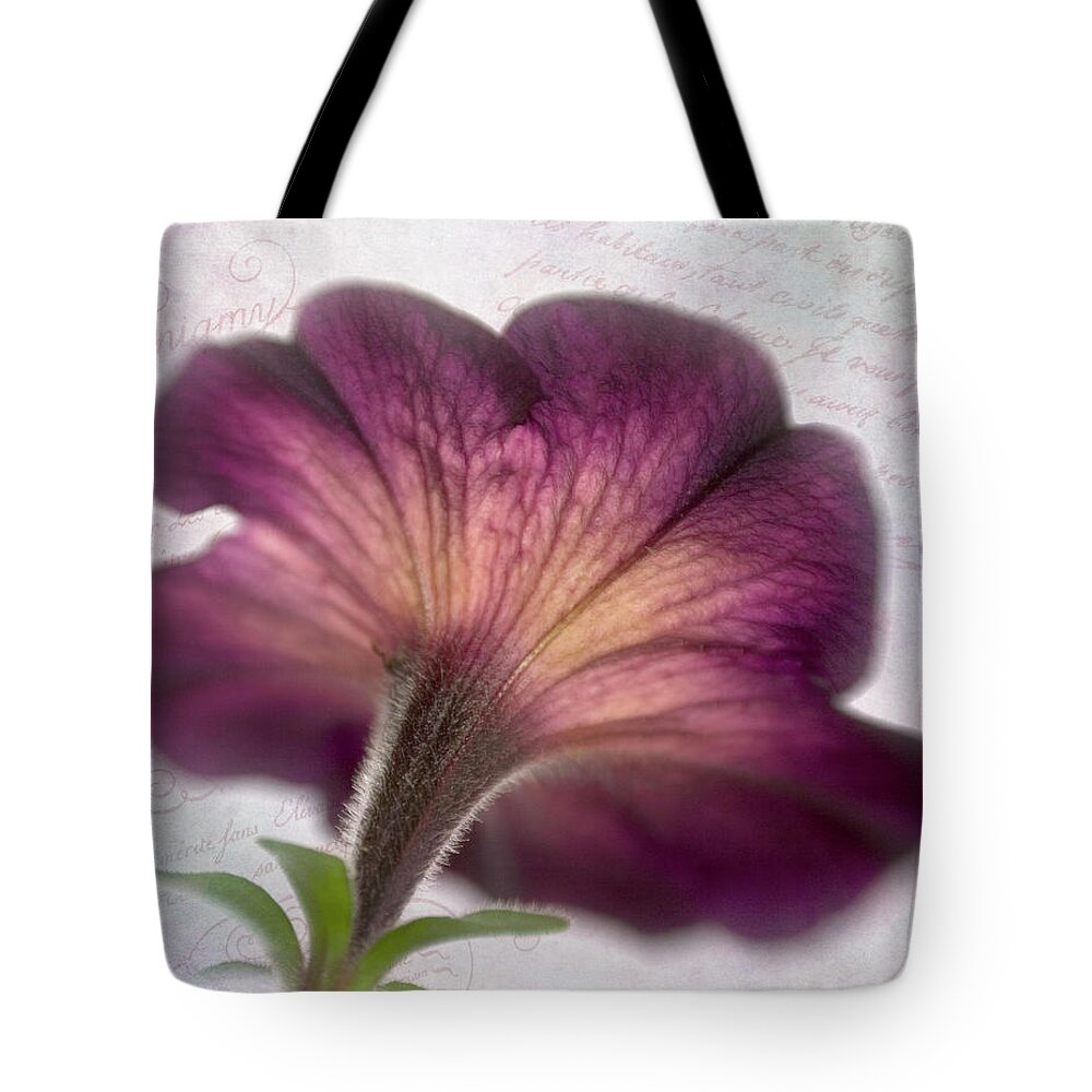 Bloom Tote Bag featuring the photograph Beneath a Dreamy Petunia by David and Carol Kelly