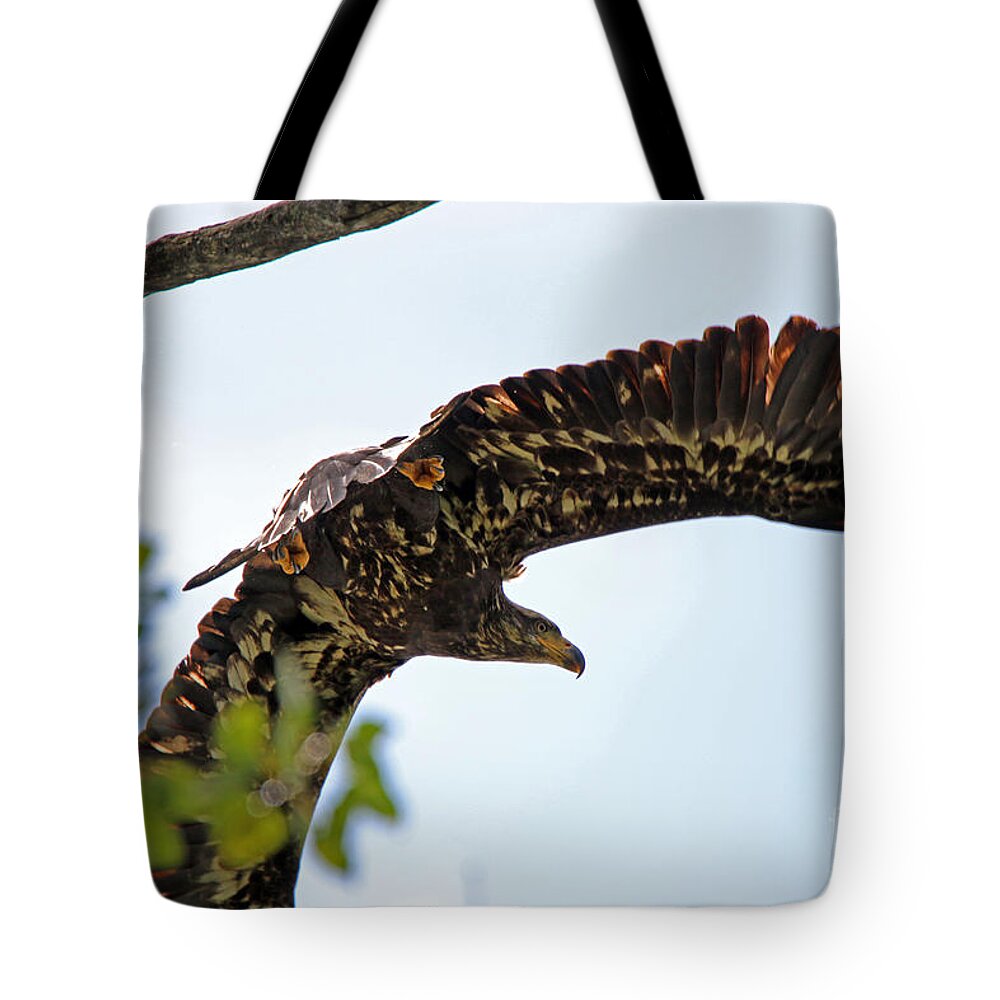Beneath The Wings Of An Eagle Tote Bag featuring the photograph Beneath the Wings of an Eagle 9038 by Jack Schultz