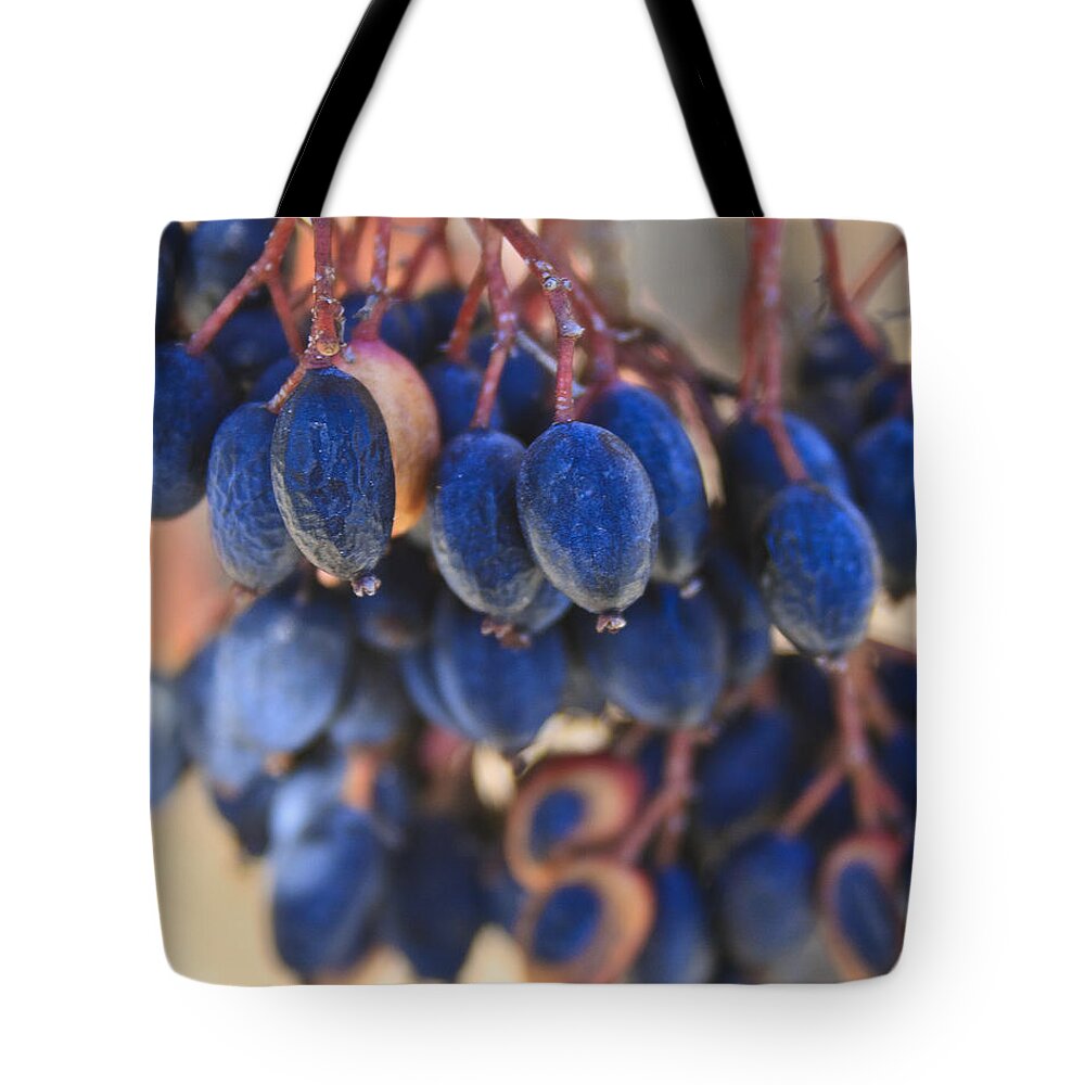 Berries Tote Bag featuring the photograph Berries Blue Too by Scott Wood