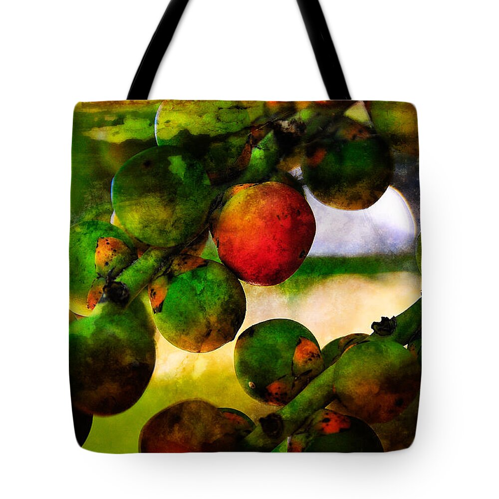 Berries Tote Bag featuring the photograph Berries by Harry Spitz