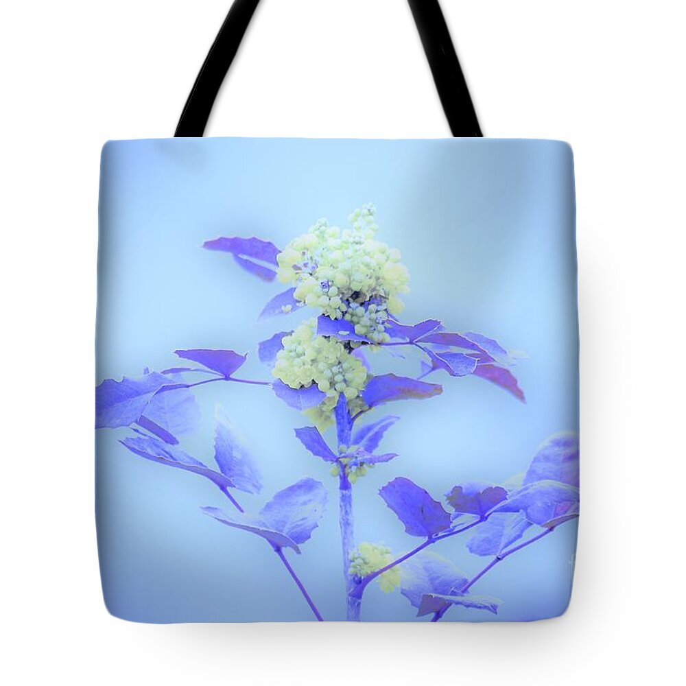 Floral Tote Bag featuring the photograph Berries on blue by Merle Grenz