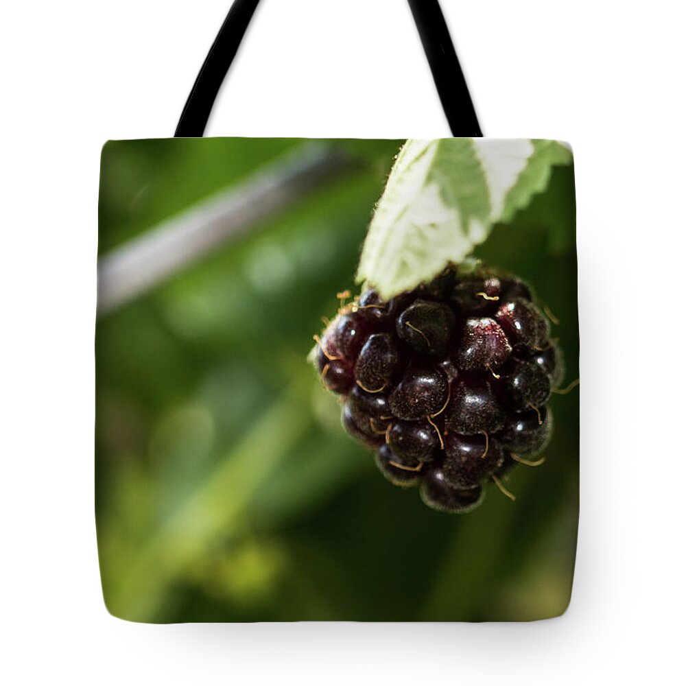 Berry Tote Bag featuring the photograph Berry by Hyuntae Kim