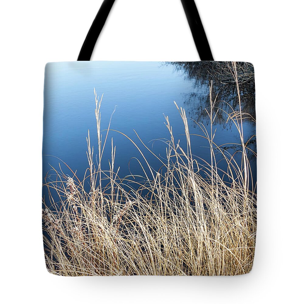 Moonstone Beach Tote Bag featuring the photograph Best Blue - by Julie Weber