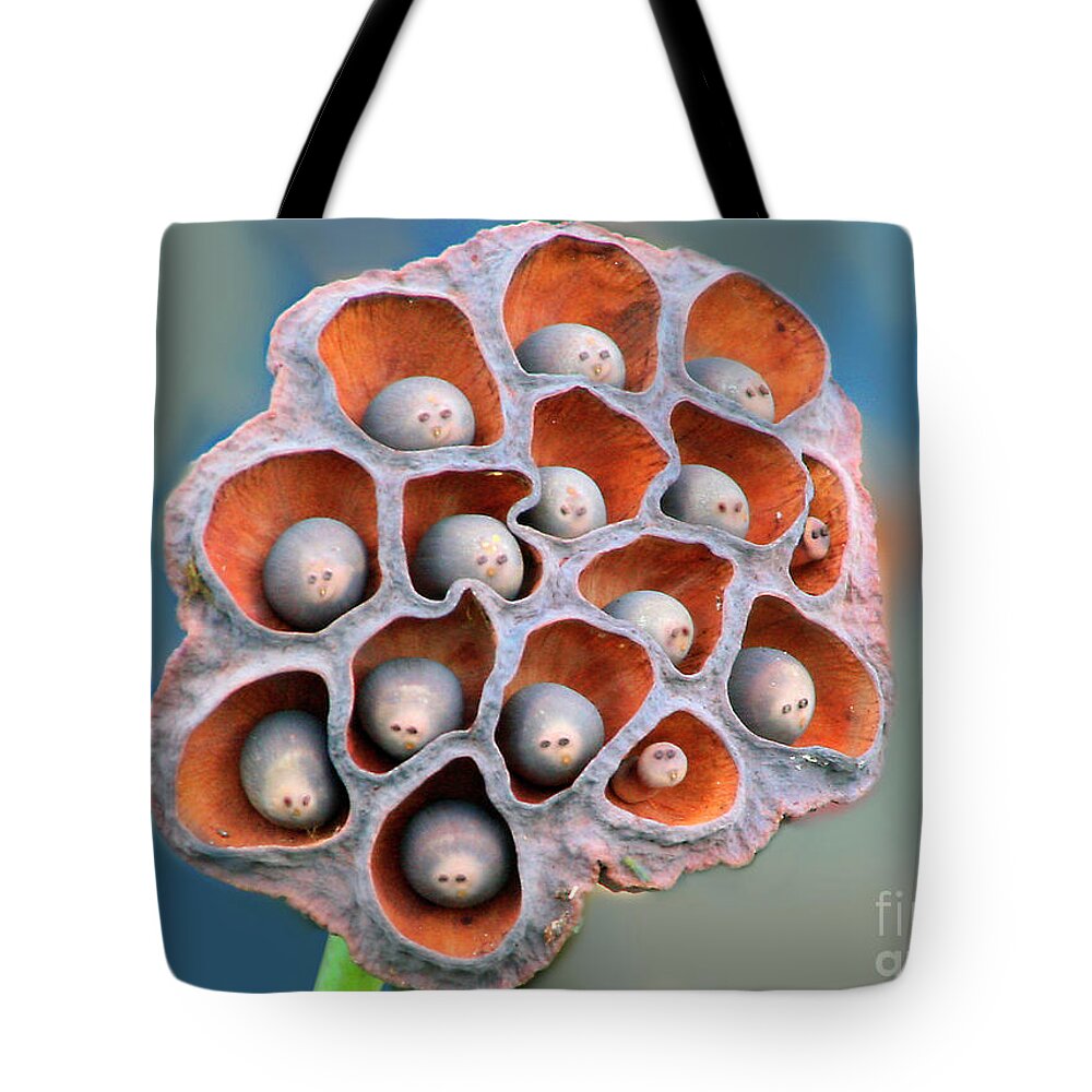 Flora Tote Bag featuring the photograph Best seats in the house. by Mariarosa Rockefeller
