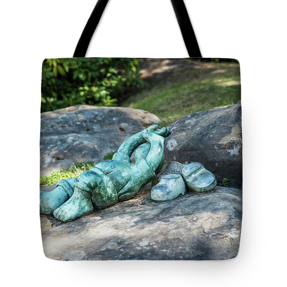 Sculpture Tote Bag featuring the photograph Better than Studying by Tom Cochran