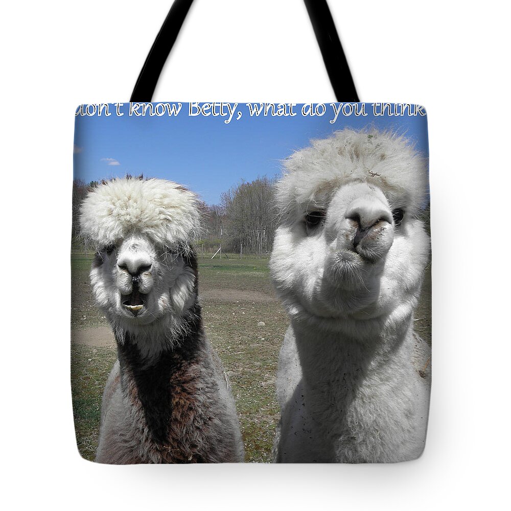 Alpaca Tote Bag featuring the photograph Betty what do you think by Kim Galluzzo Wozniak