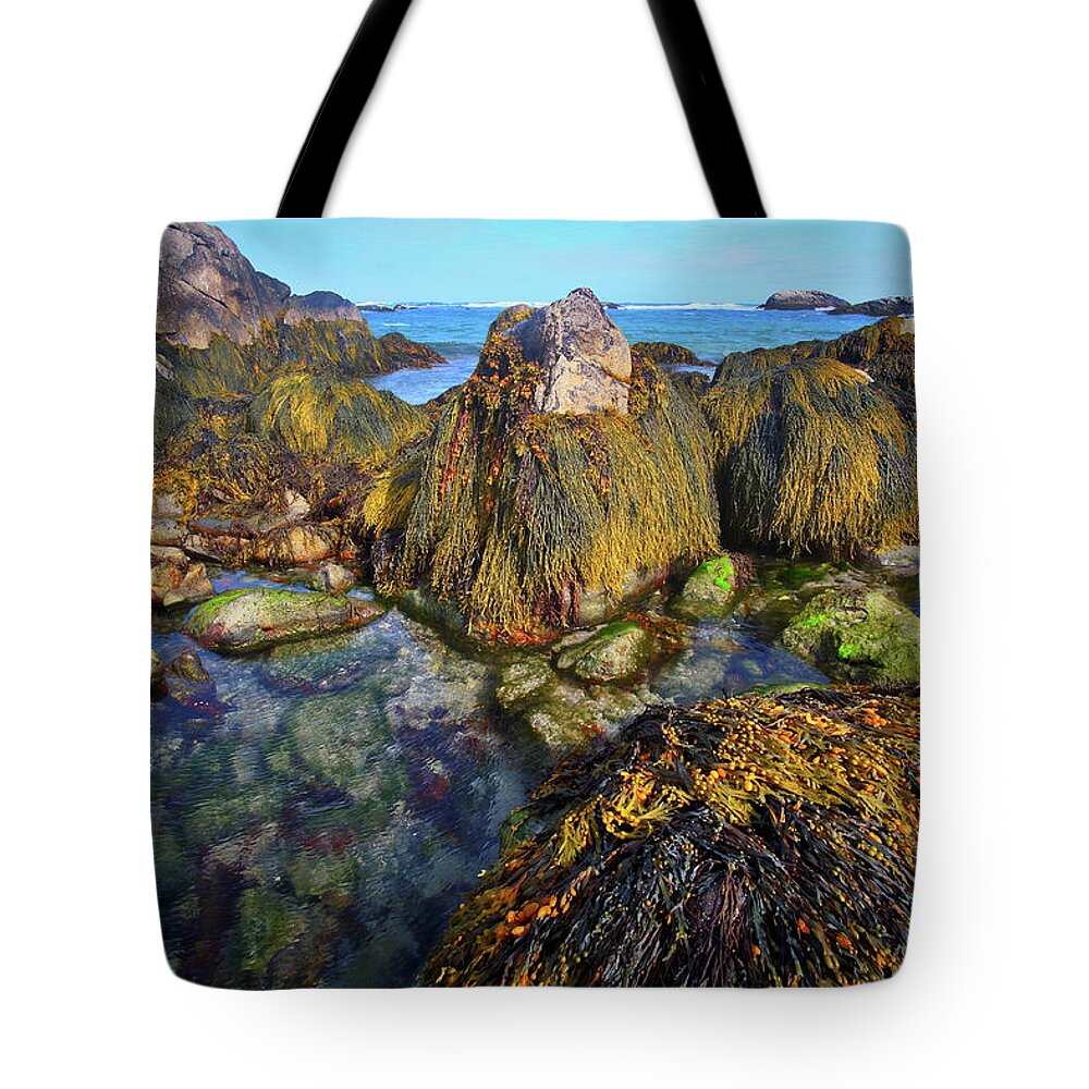Beach Tote Bag featuring the digital art Between Land and Sea by Julius Reque