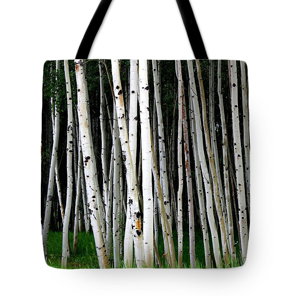 Aspens Tote Bag featuring the photograph Between The Aspens by Fiona Kennard