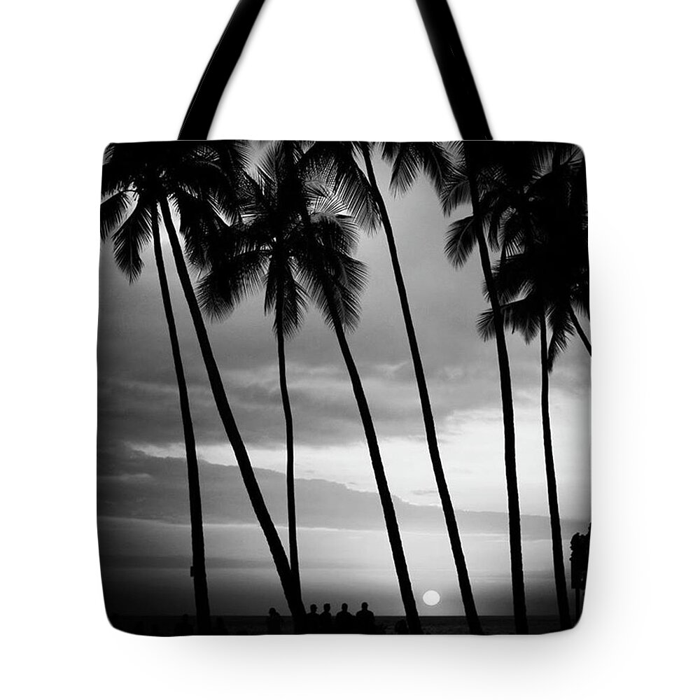  Tote Bag featuring the photograph Between The Trees To Watch The Sun Go by Aleck Cartwright