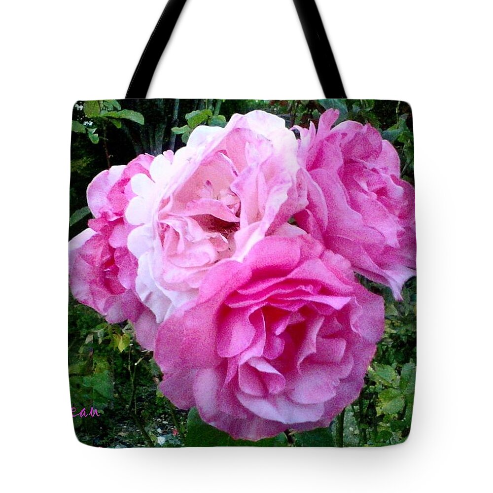 Roses Tote Bag featuring the photograph Bevy Of Roses by A L Sadie Reneau
