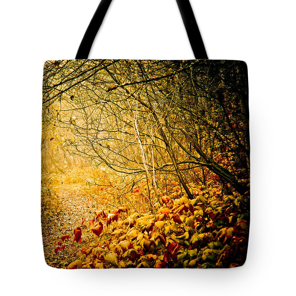 Mystery Tote Bag featuring the photograph Beyond by Maggie Terlecki