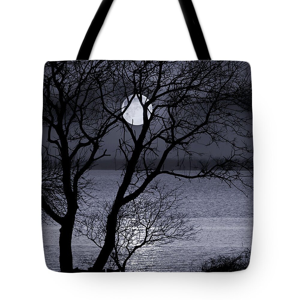 Moon Tote Bag featuring the photograph Beyond The Gate by Robin-Lee Vieira