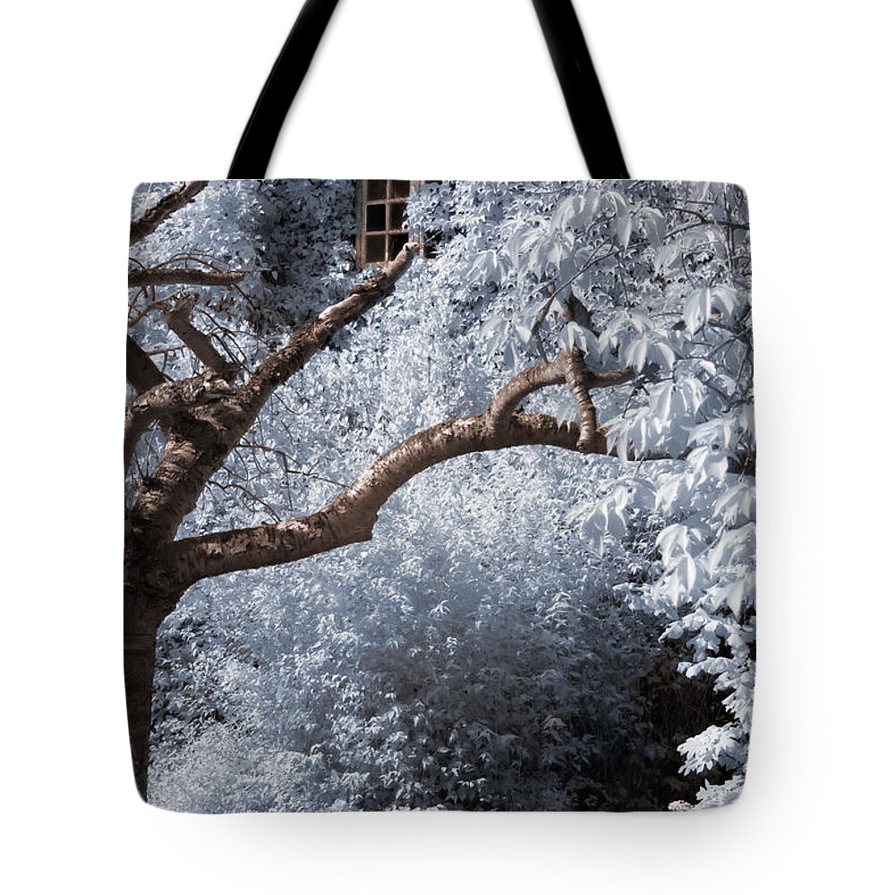 Nature Tote Bag featuring the photograph Beyond the silver tunnel by Helga Novelli