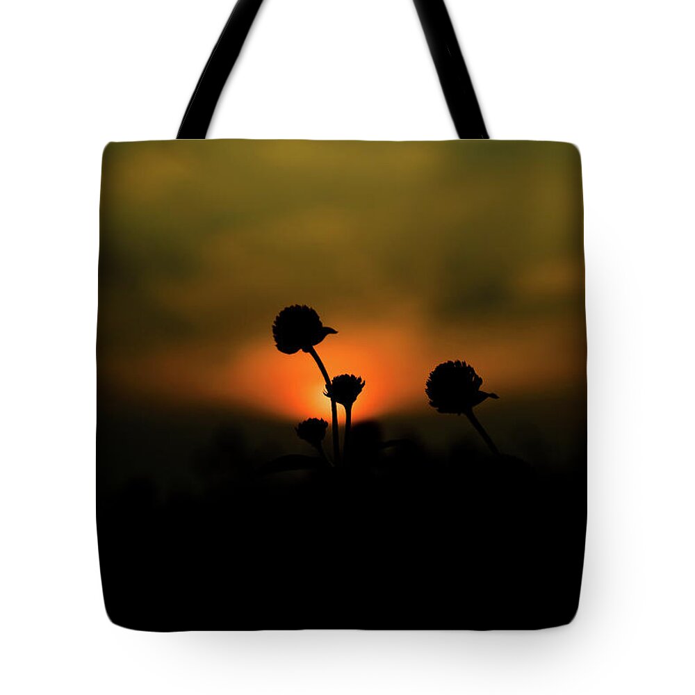 Sunset Tote Bag featuring the photograph Beyond Time by Hyuntae Kim