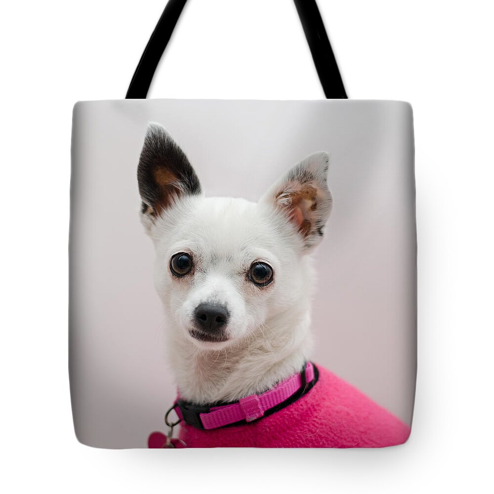 Pet Angel Photography Tote Bag featuring the photograph Bianca by Irina ArchAngelSkaya