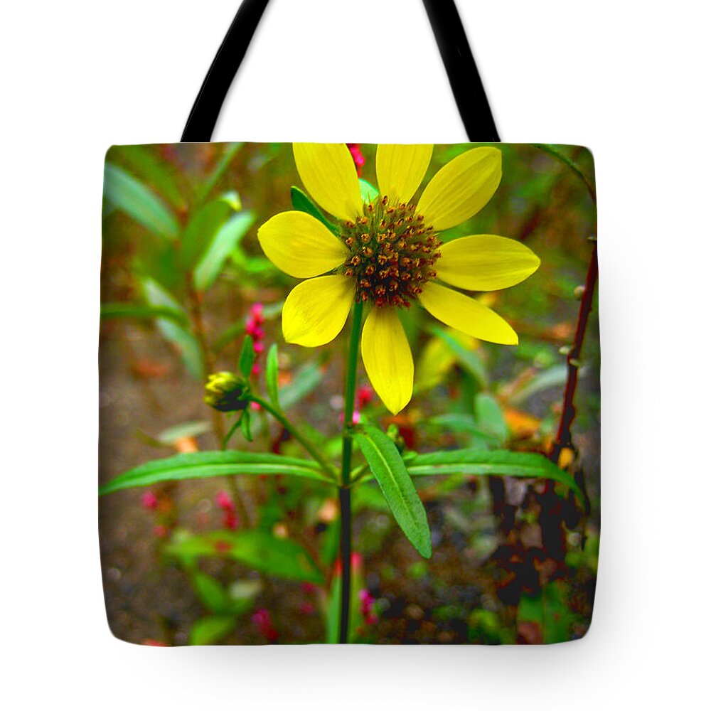 Flower Tote Bag featuring the photograph Big Beauty by Donna Petersen