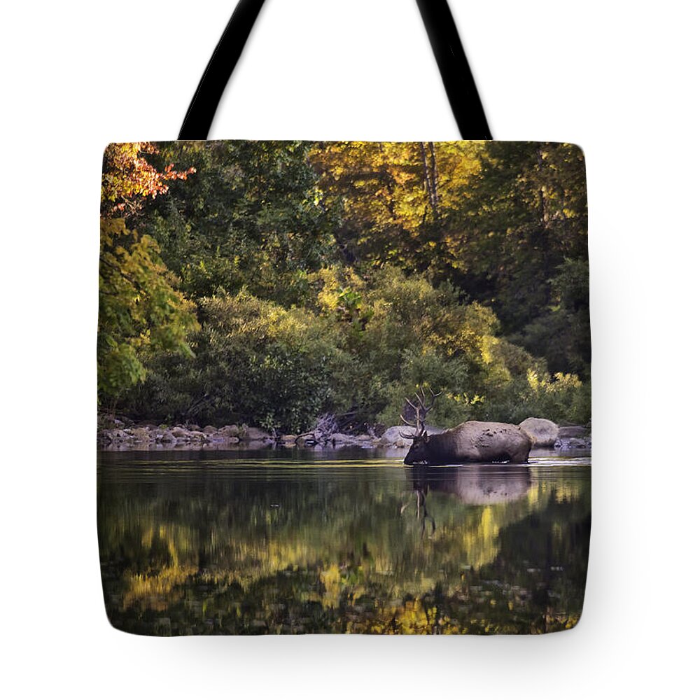 Fall Color Tote Bag featuring the photograph Big Bull in Buffalo National River Fall Color by Michael Dougherty