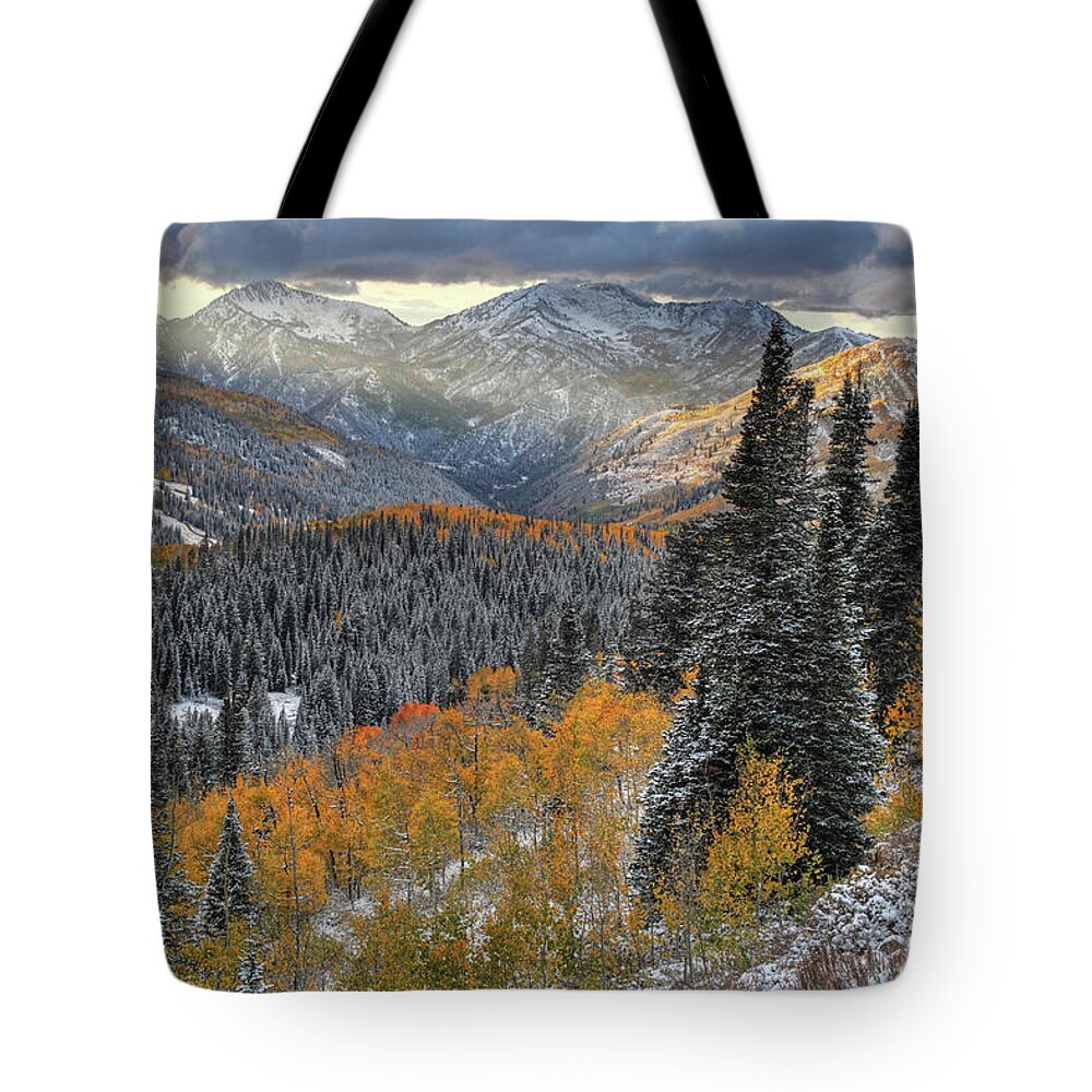 Utah Tote Bag featuring the photograph Big Cottonwood Canyon Early Snow and Fall Color by Brett Pelletier