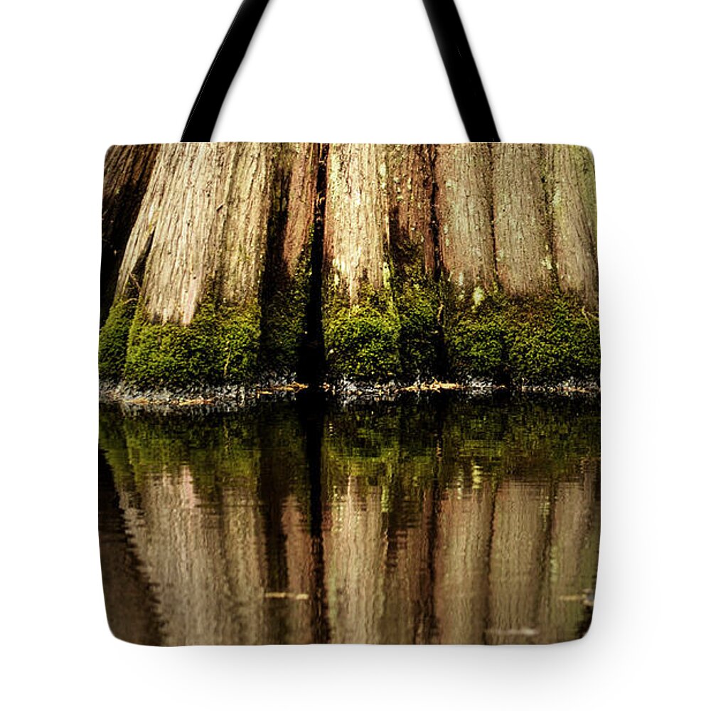 Reflections Tote Bag featuring the photograph Big Cypress Reflection Color by Nadalyn Larsen