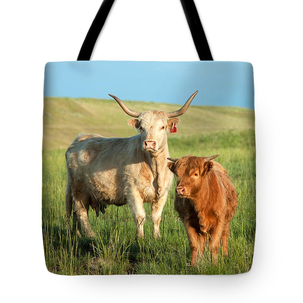 Longhorn Tote Bag featuring the photograph Big Horn, Little Horn by Todd Klassy