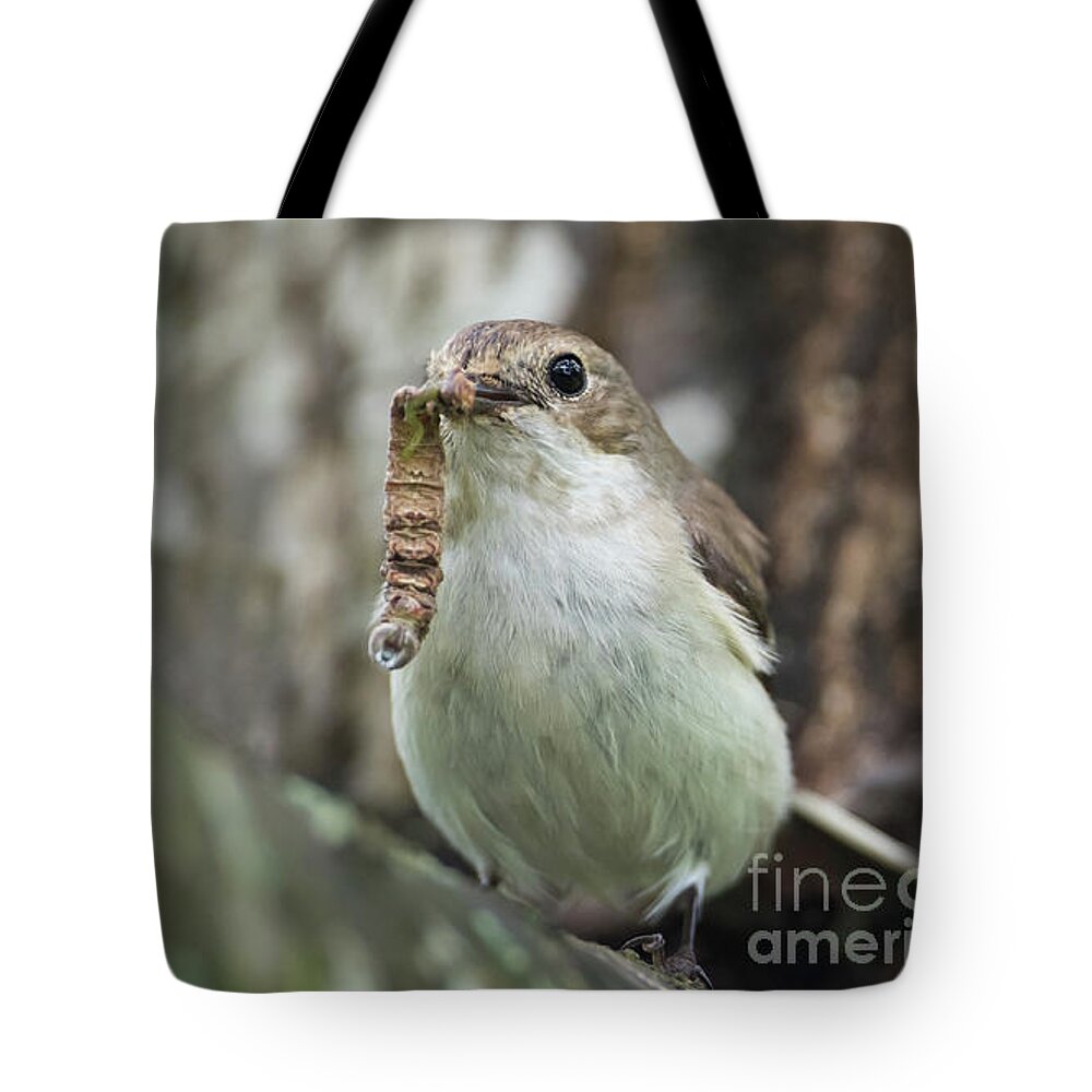 Pied Flycatcher Tote Bag featuring the photograph Big Meal by Torbjorn Swenelius