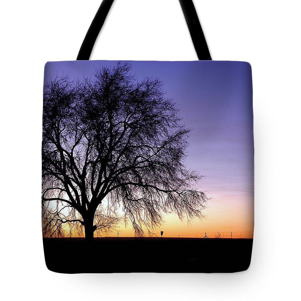 Morning Tote Bag featuring the photograph Big Sky - New Mexico by DArcy Evans