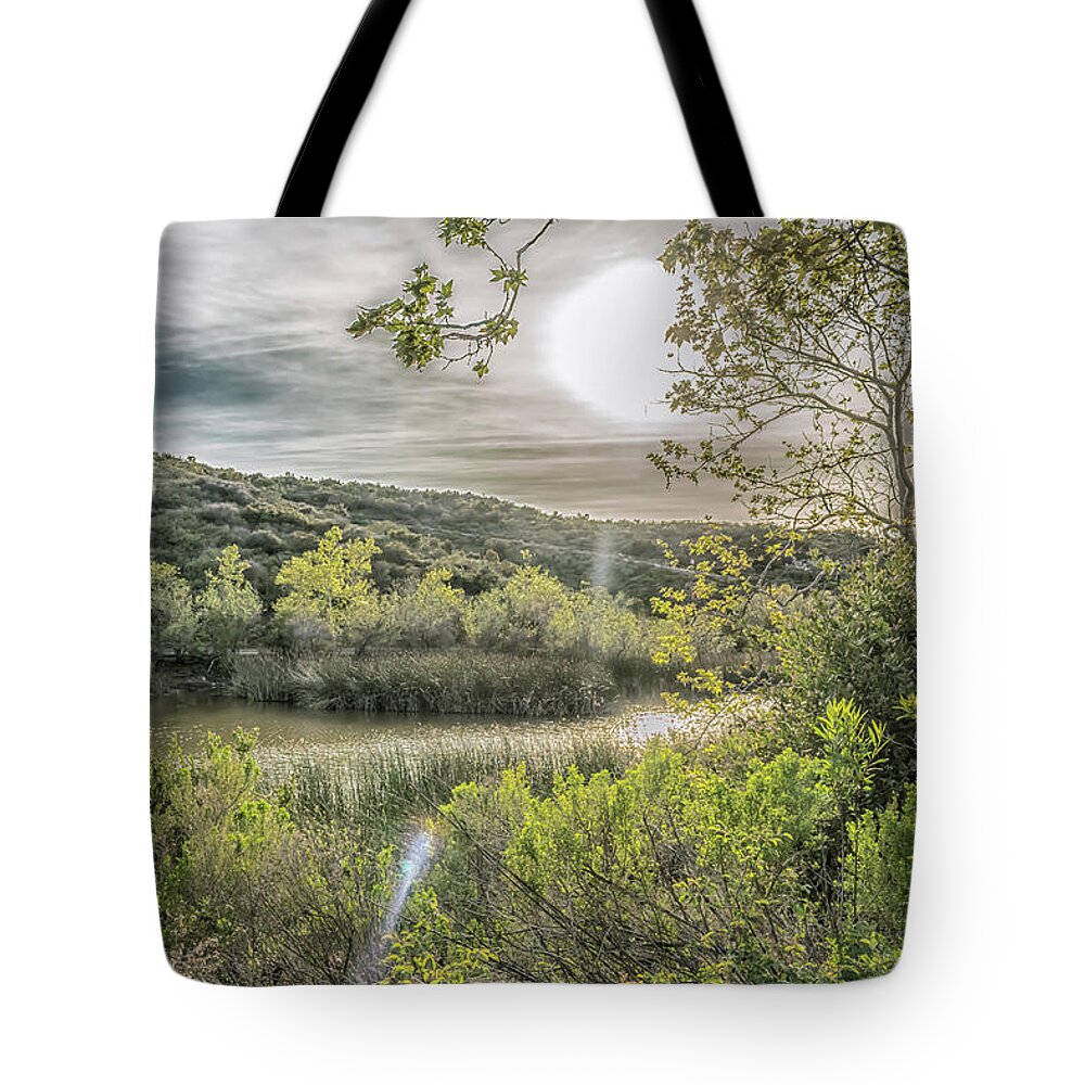 Sun Tote Bag featuring the photograph Big Sun by Alison Frank