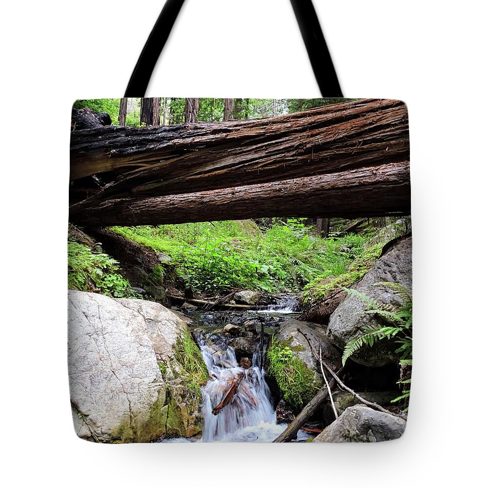 Big Sur Tote Bag featuring the photograph Big Sur Creek by Connor Beekman