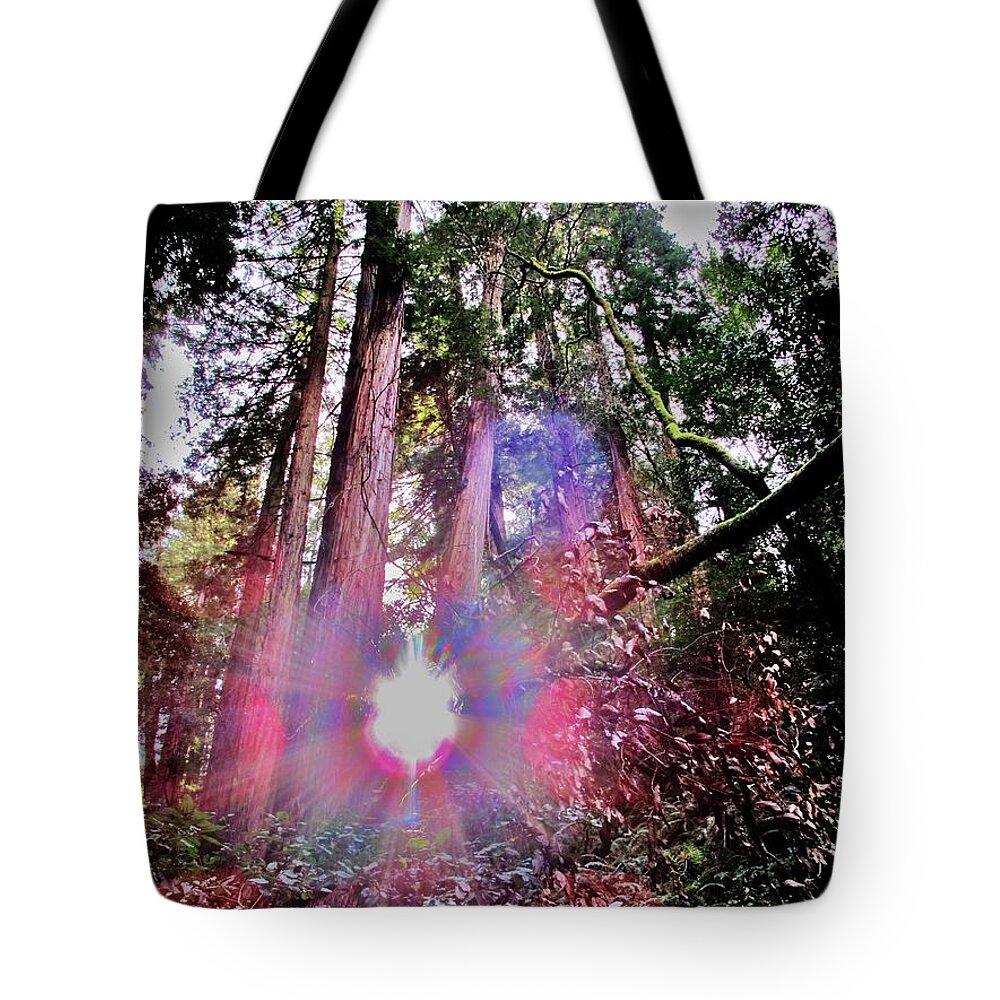Redwoods Tote Bag featuring the photograph Bigfoot Into The Light by John King I I I