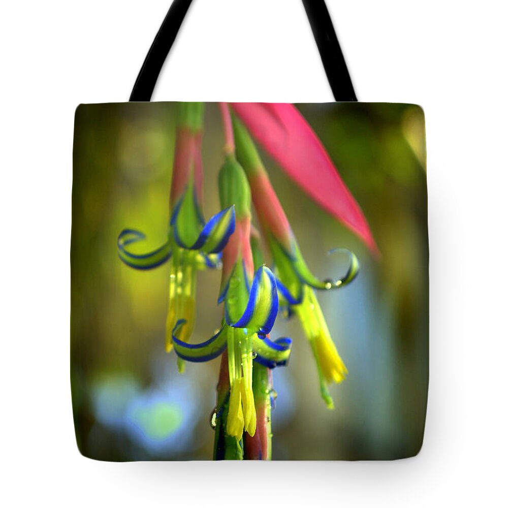 Plant Tote Bag featuring the photograph Bilbergia Flower Bromeliad by Nathan Abbott