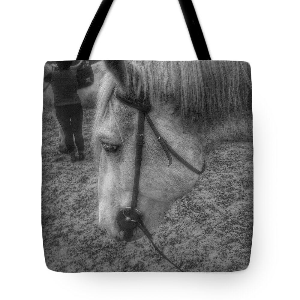 Horses Tote Bag featuring the photograph Billie After An Hours Riding. #horses by Abbie Shores