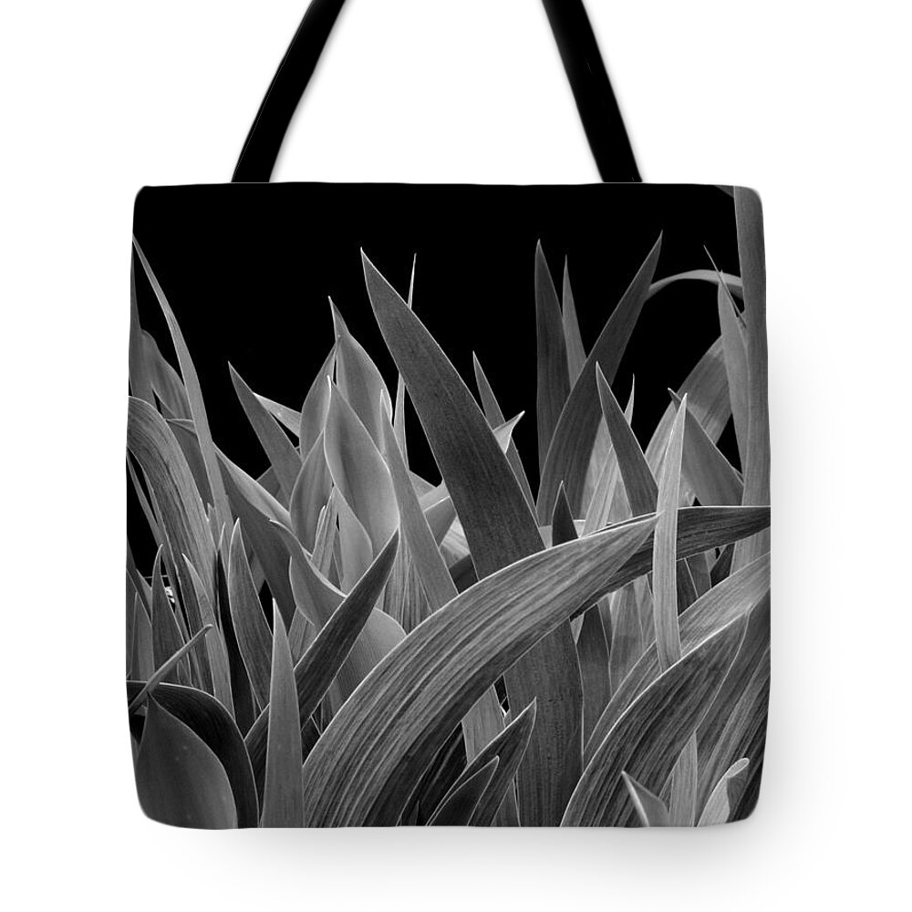 Black & White Tote Bag featuring the photograph Biological Warfare by Frederic A Reinecke