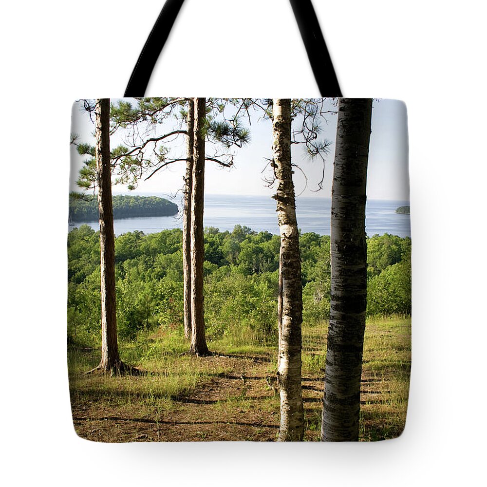 Birch Bay Opening Tote Bag featuring the photograph Birch Bay Opening by Dylan Punke