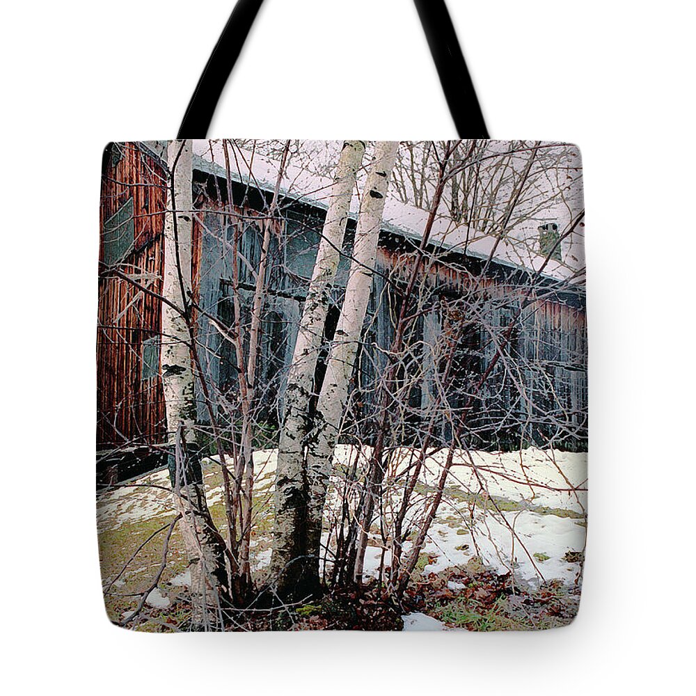 Nyoda Girls Camp Tote Bag featuring the digital art Birch Trees with Antique Barn, Winter Dusk at Camp Nyoda 1988 by Kathy Anselmo