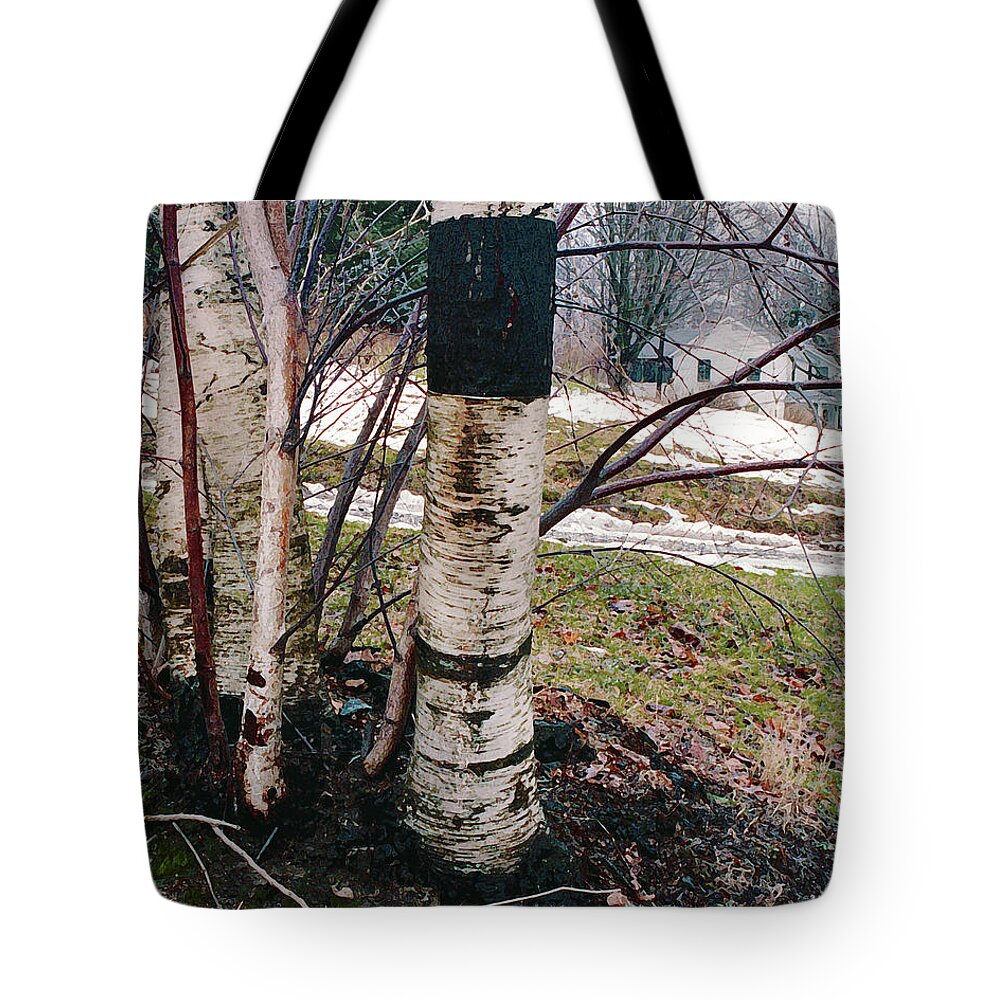 Nyoda Girls Camp Tote Bag featuring the digital art Birch Trees with House, Winter at Camp Nyoda 1988 by Kathy Anselmo
