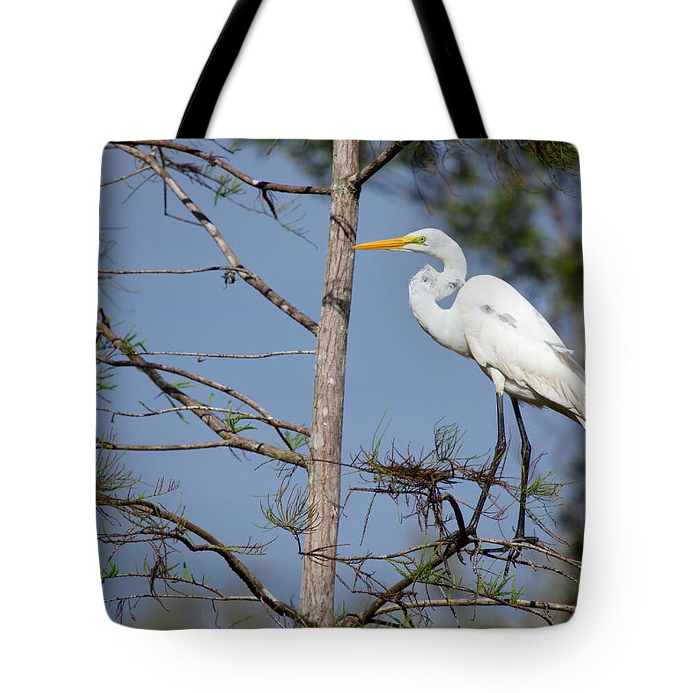 Bird Tote Bag featuring the photograph Bird 154 by Michael Fryd