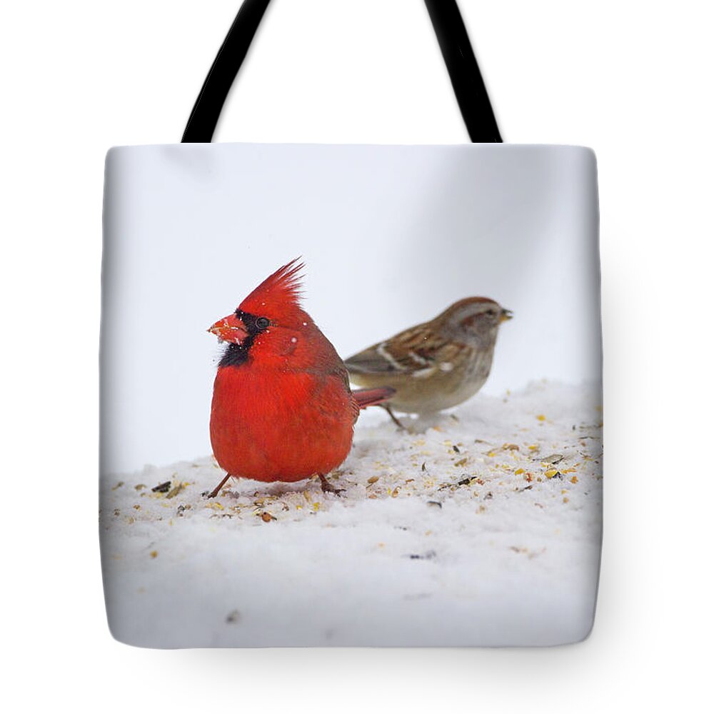 Bird Tote Bag featuring the photograph Bird Buffet - Northern Cardinal - Cardinalis cardinalis by Spencer Bush
