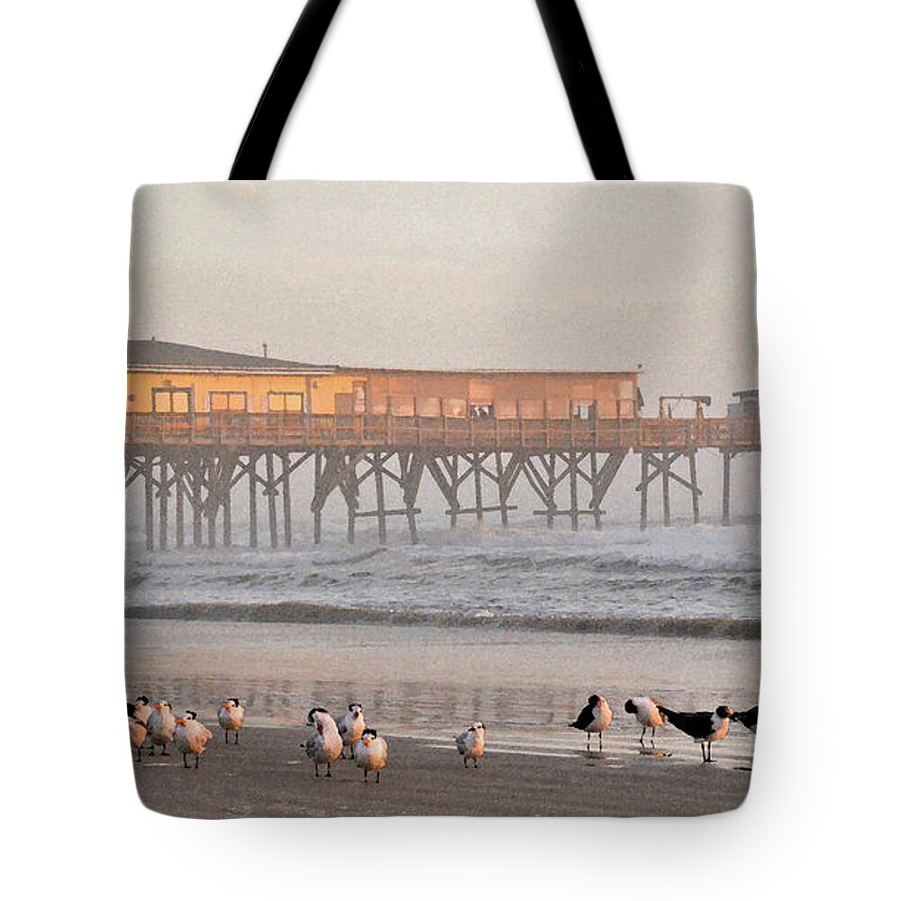 Seagulls Tote Bag featuring the photograph Bird Families morning at Sun Glow Pier 2-11-18 by Julianne Felton