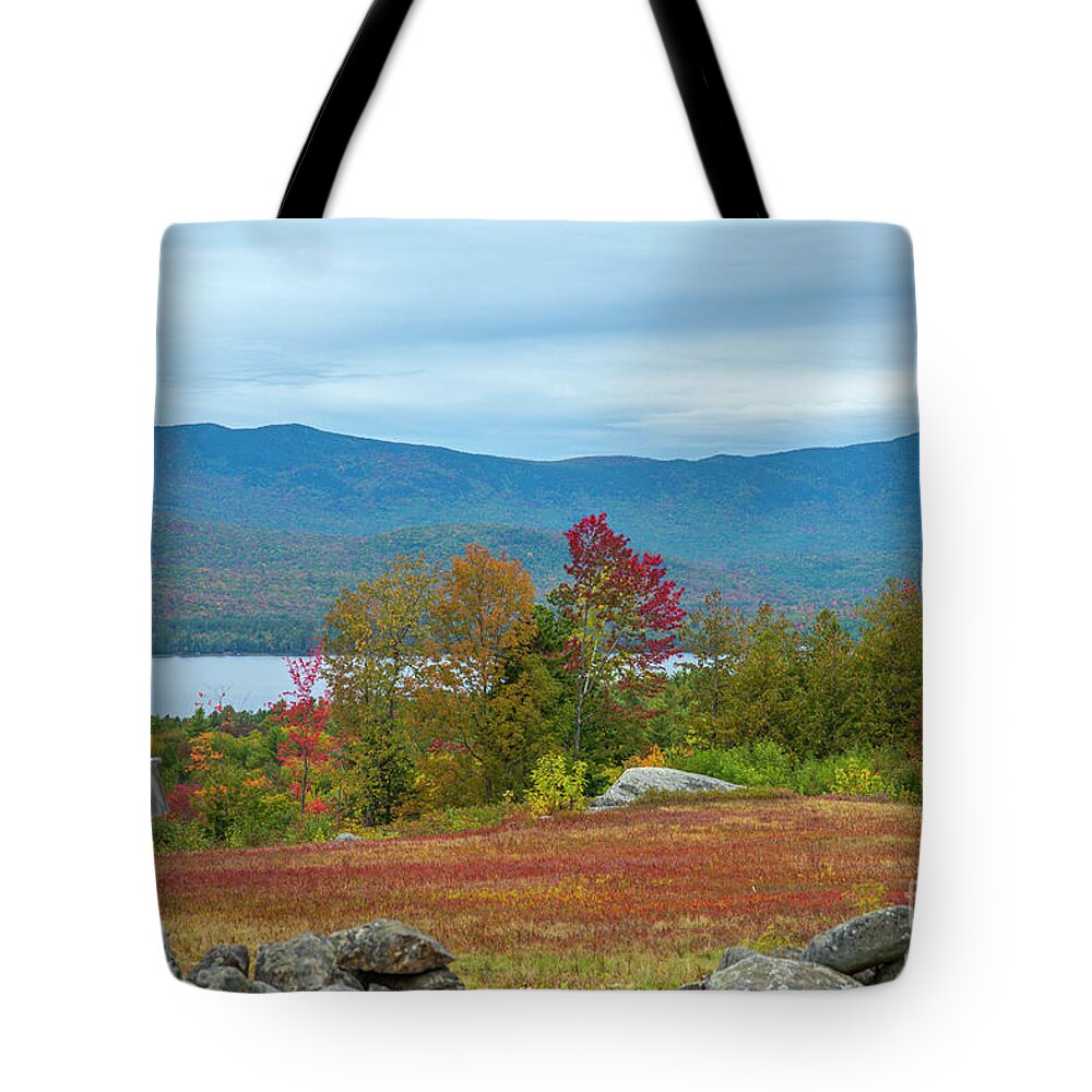 Bird House Tote Bag featuring the photograph Bird House by Alana Ranney
