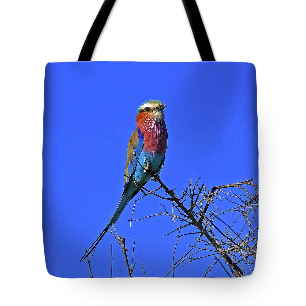 Bird Tote Bag featuring the photograph Bird - Lilac-breasted Roller by Richard Krebs