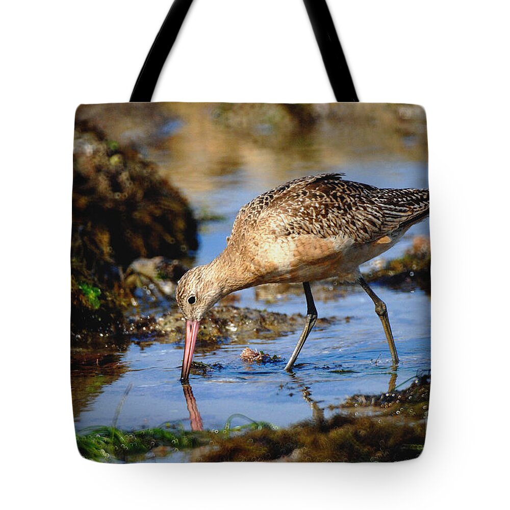 Bird Tote Bag featuring the photograph Bird by Marc Bittan
